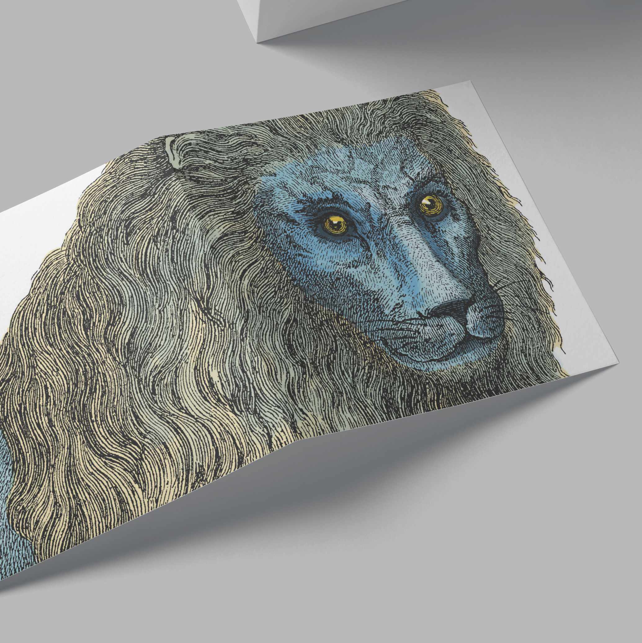 Lion Card